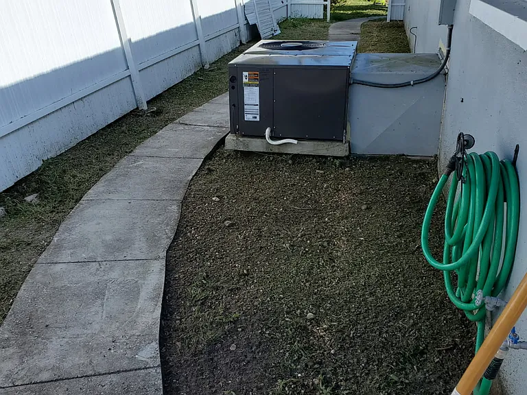 Walkway side of house