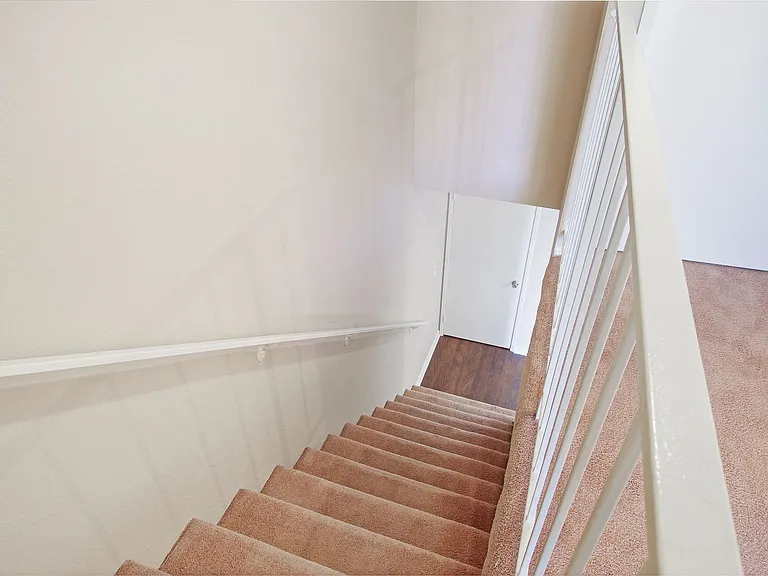 Carpeted living room staircase