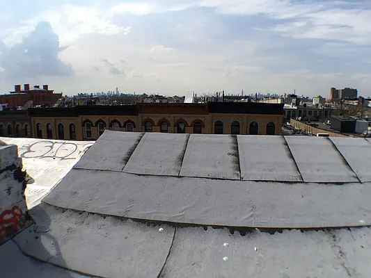 Rented by P Management | media 26