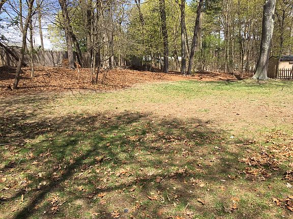 Spacious backyard