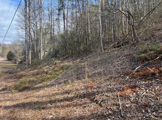 0 Robinson Gap Rd, Bryson City, NC 28713