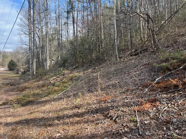 0 Robinson Gap Rd, Bryson City, NC 28713