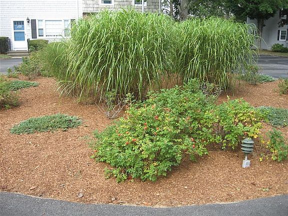 4th image of 231 Route 28 #11