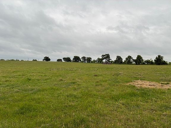 4th image of 599 Lone Star Rd