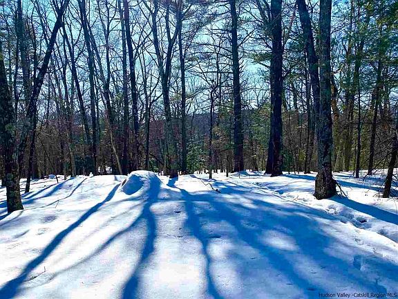 3rd image of Piney Woods Rd