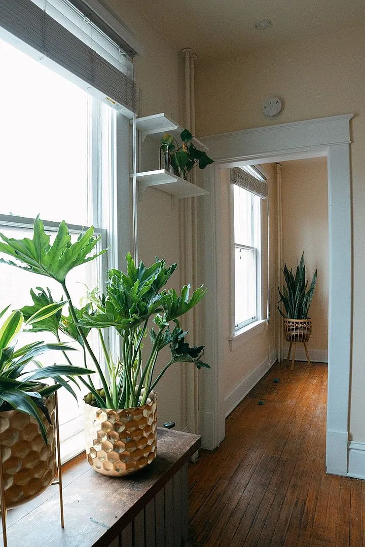 808 East 18th Street Apartments — Photo 4