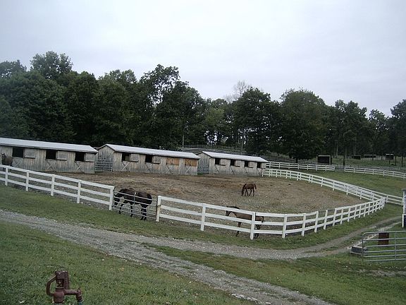 3 of 4 auxiliary barns
