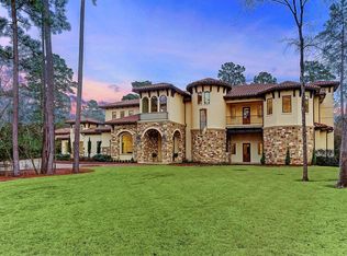 50 Silver Iris Way, Spring, TX 77382