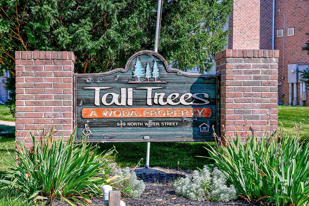 Tall Trees — Photo 1