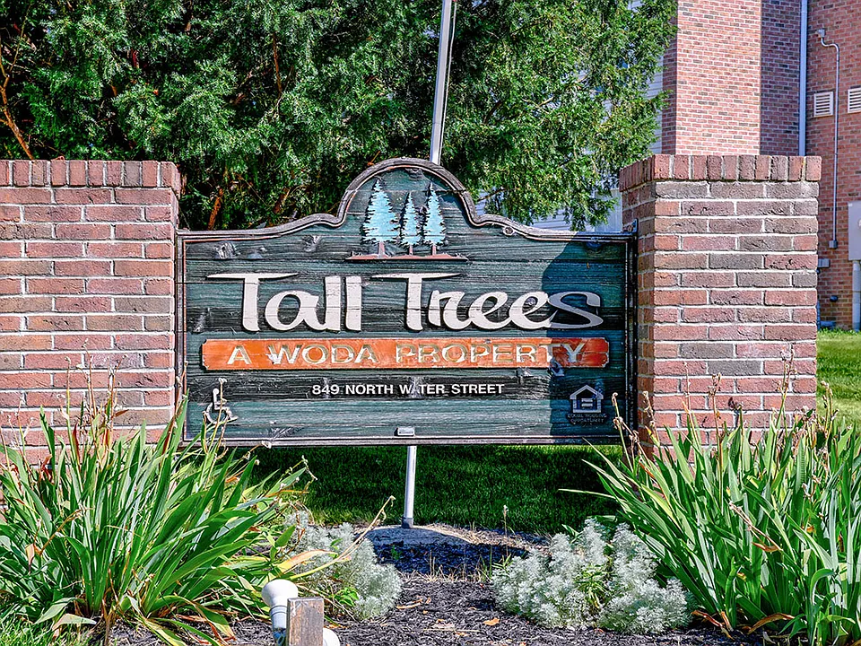 Tall Trees