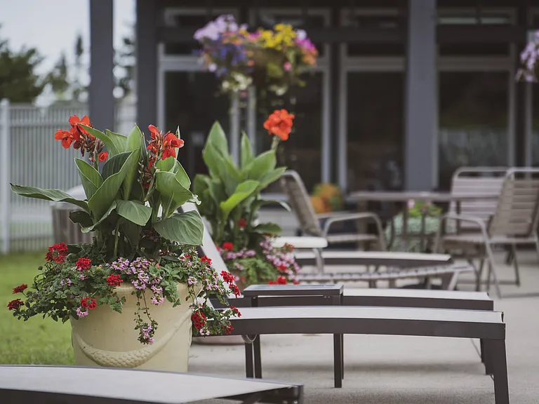 Beautiful accents like fresh flowers add warmth and charm to every space.