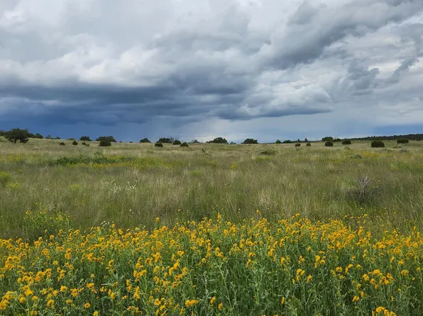 Teepee Trl, Quemado, NM 87829