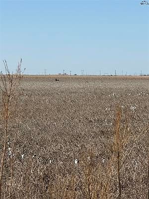 5th image of County Road 168