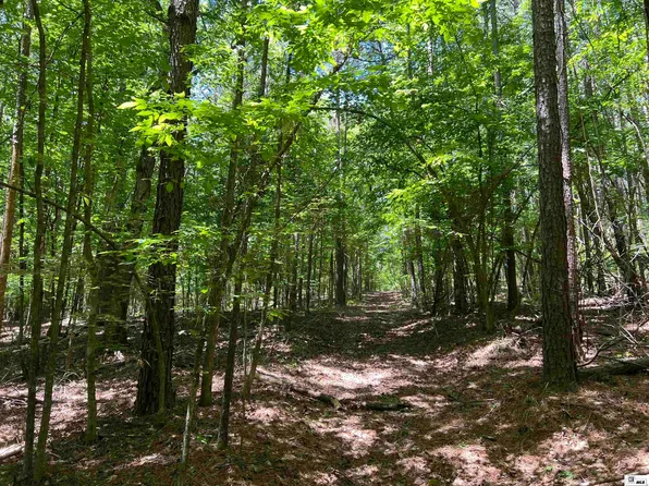 0 Jinks Rd, Bernice, LA 71222