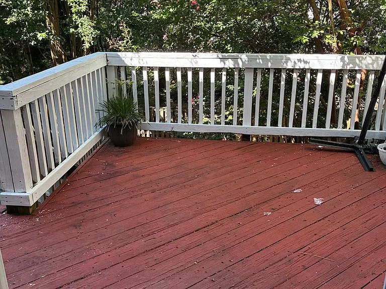 10164 Tree Frog Pl — Photo 19