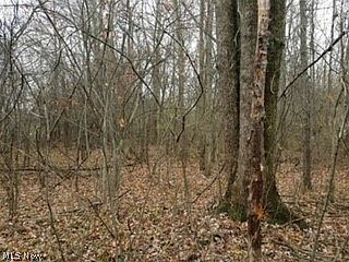 2nd image of Parsons Rd