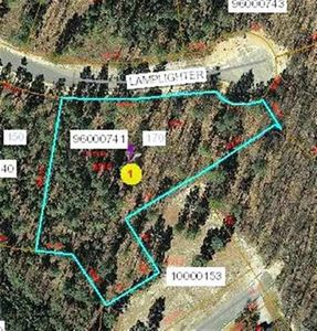 170 Lamplighter Ln, West End, NC, 27376