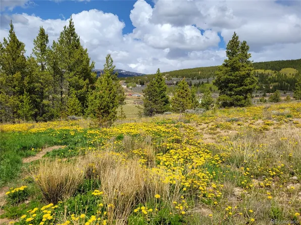 136 Brooklyn Circle LOT 19, Leadville, CO 80461