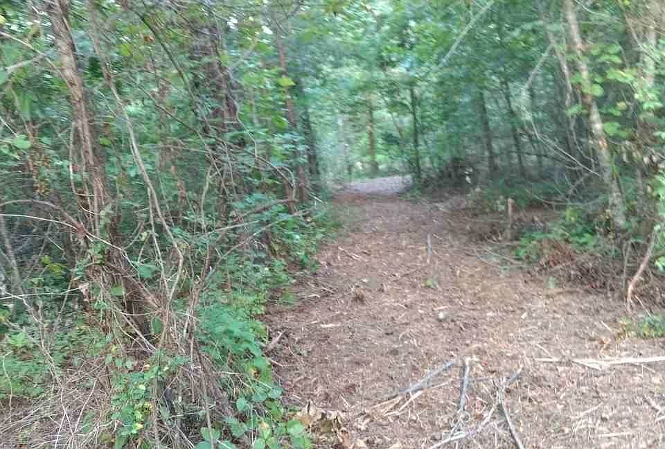 2nd image of 190 County Road 516