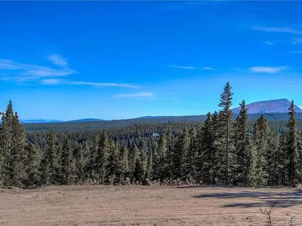 300 Gallagher Lane, Fairplay, CO 80440