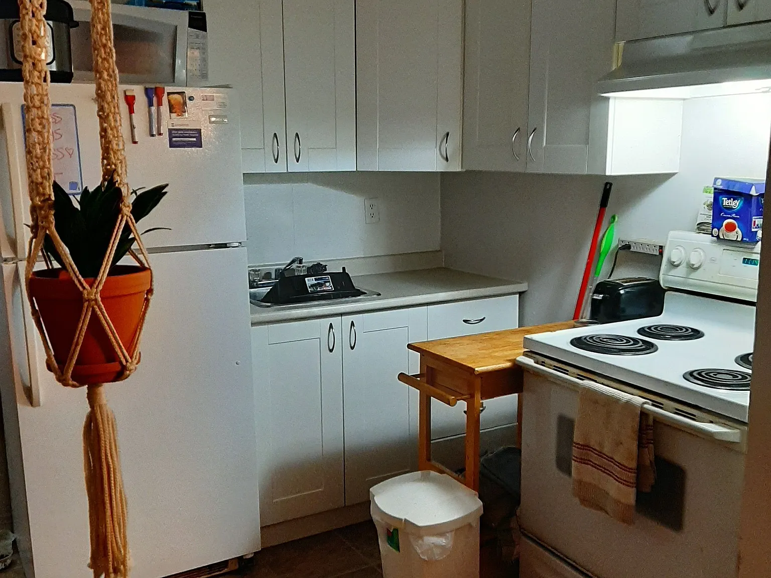 1 bed, $1,500 — Photo 3
