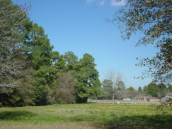 Looking South at mid property from more center