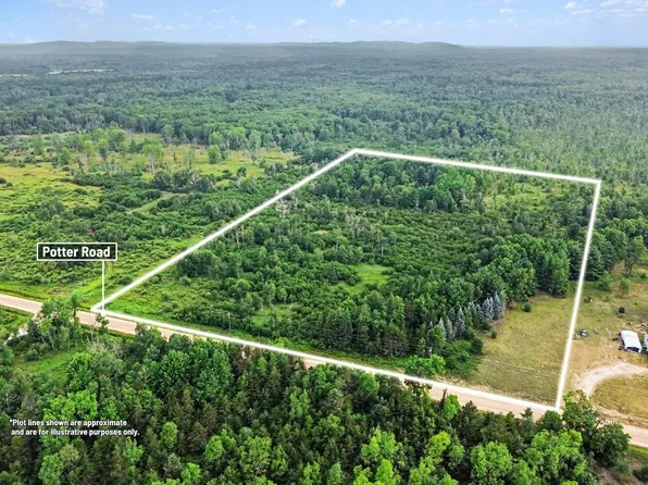 0 Potter Rd, Bear Lake, MI 49614