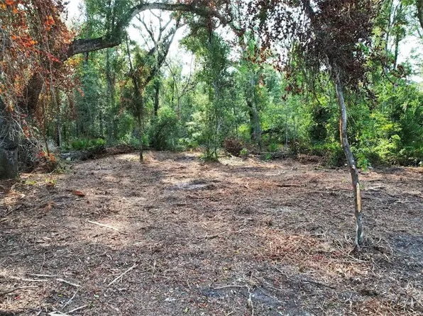 1615 NE 497TH STREET LOT 49, OLD TOWN, FL 32680