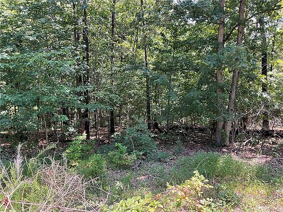 4th image of Llanon Dr #9