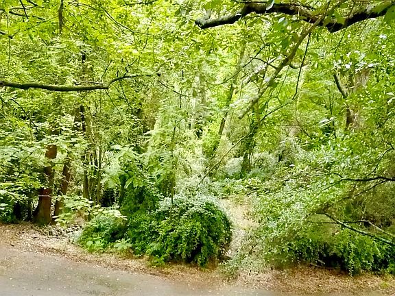 4th image of 1208 Echo Hollow Rd