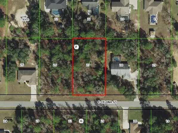 2411 E Celina St, Inverness, FL 34453