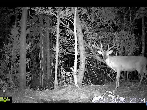 3rd image of Peach Rd