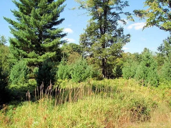 6249 Cedar Trce, Stanwood, MI 49346