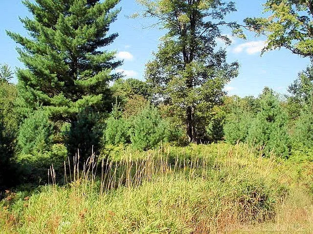 6249 Cedar Trce photo 1