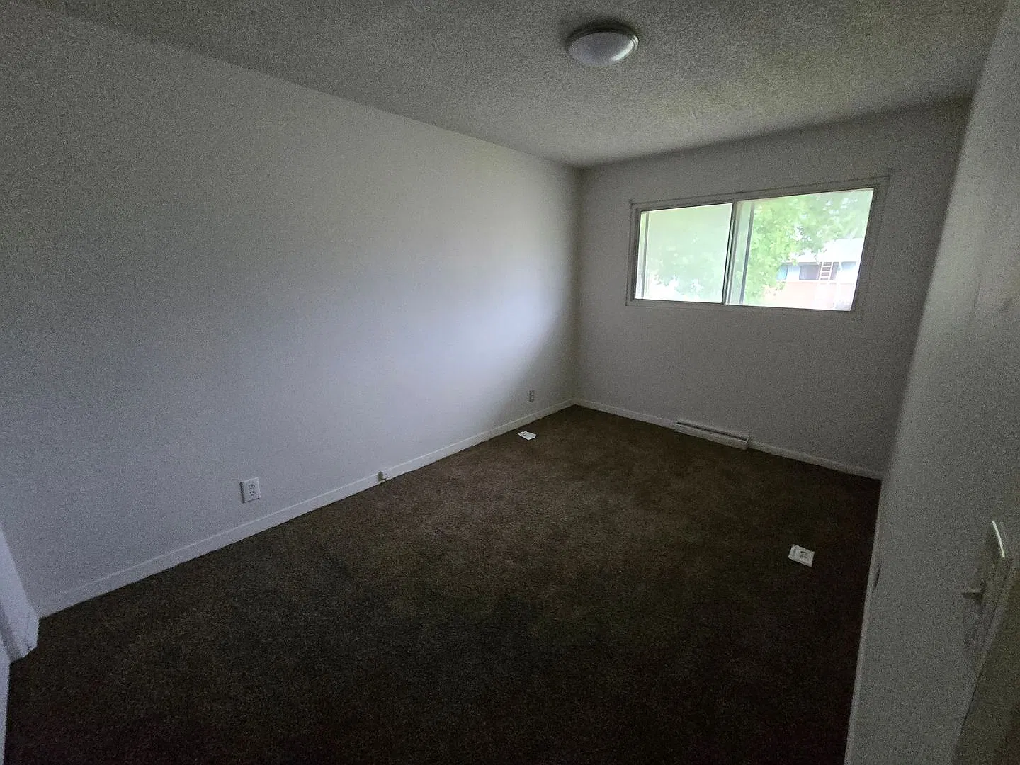 Montara 2/1 with fully fenced in yard and new flooring. — Photo 2