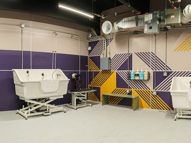 Mural at Stovehouse — Photo 89