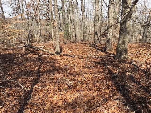 2nd image of 443 Tiger Ln