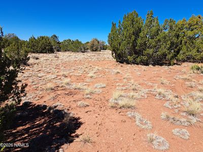 4287 E Wingfield Rd, Williams, AZ, 86046