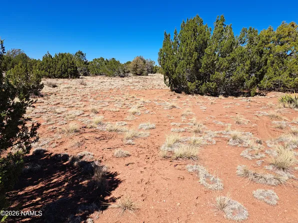 4287 E Wingfield Rd, Williams, AZ 86046