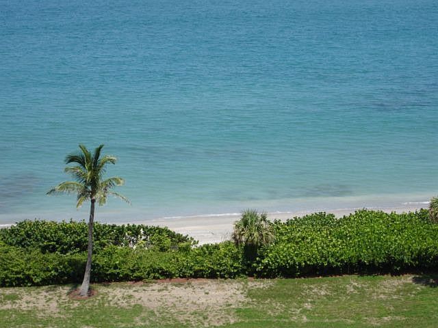 East Ocean View