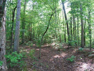 363 Lake Rd, Dawsonville, GA, 30534