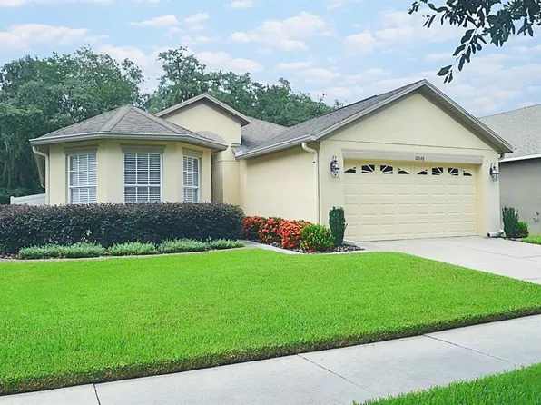 10646 Lucaya Dr, Tampa, FL 33647