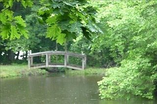 Bridge over Pond