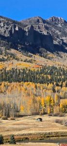 212 Camp Robber Drive, Creede, CO, 81130