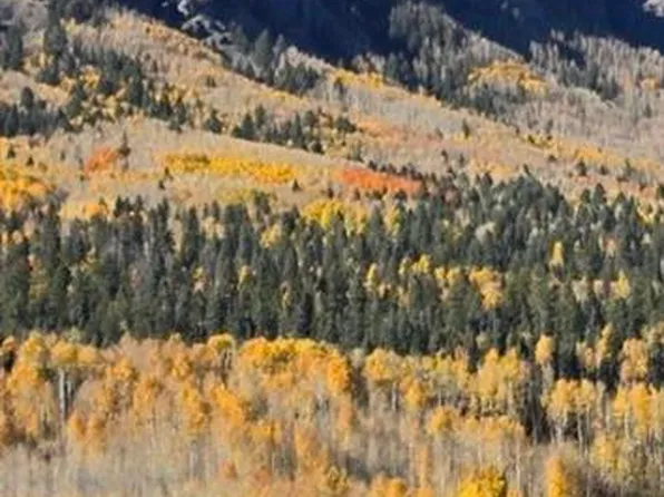 212 Camp Robber Drive, Creede, CO 81130