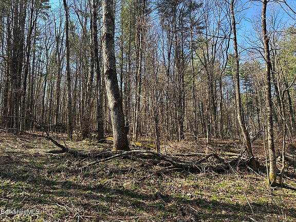 4th image of 2447 State Rd