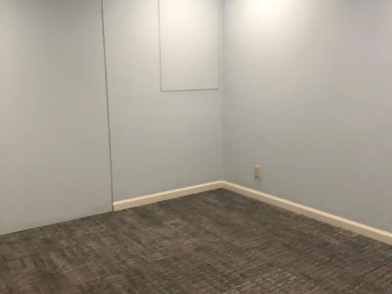 basement sleeping area with closet