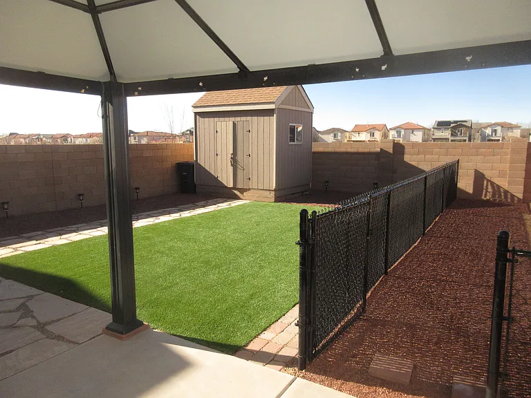 Back Yard