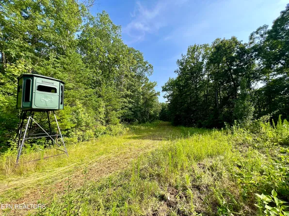 Lankford Ridge Rd, Decatur, TN 37322