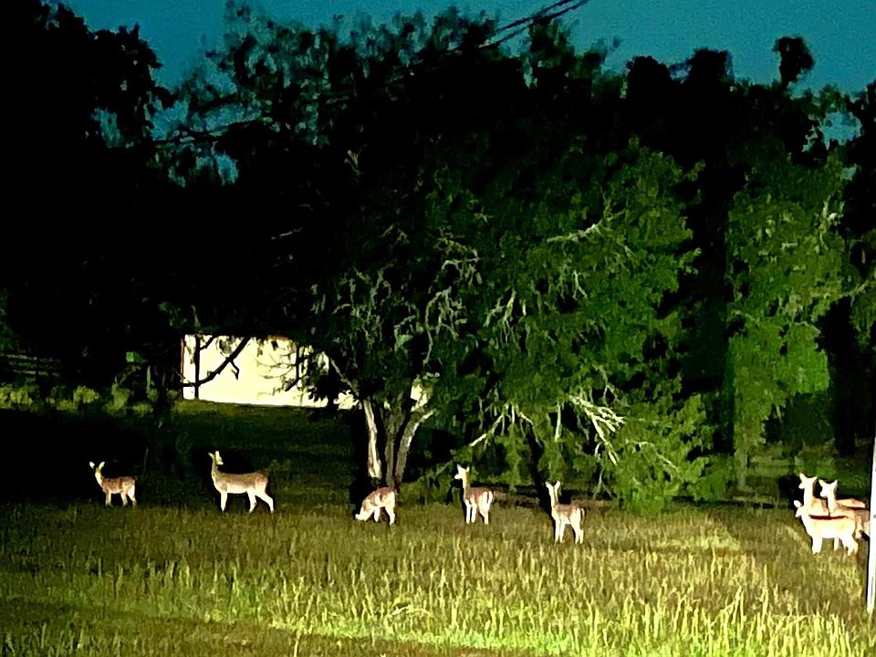 1st image of 2217 Creek Rd